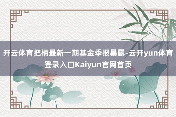 开云体育把柄最新一期基金季报暴露-云开yun体育登录入口Kaiyun官网首页