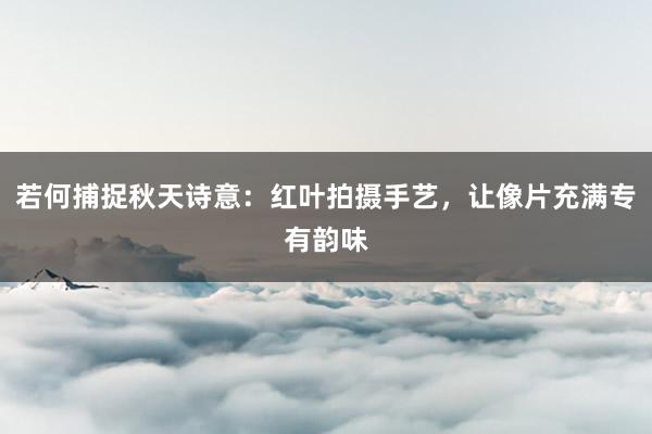 若何捕捉秋天诗意：红叶拍摄手艺，让像片充满专有韵味