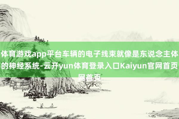 体育游戏app平台车辆的电子线束就像是东说念主体的神经系统-云开yun体育登录入口Kaiyun官网首页